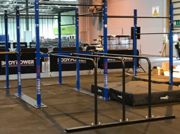 Calisthenics rig